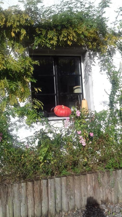 La Colline Des Roses Acomodação com café da manhã Conchil-le-Temple Exterior foto